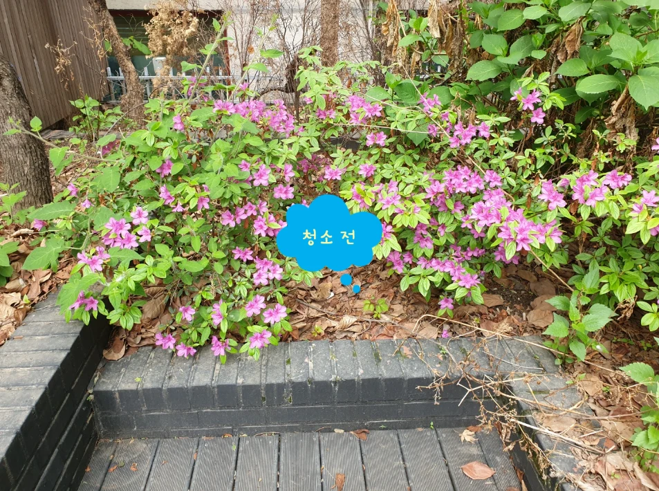 화성 정기청소 기대효과 1