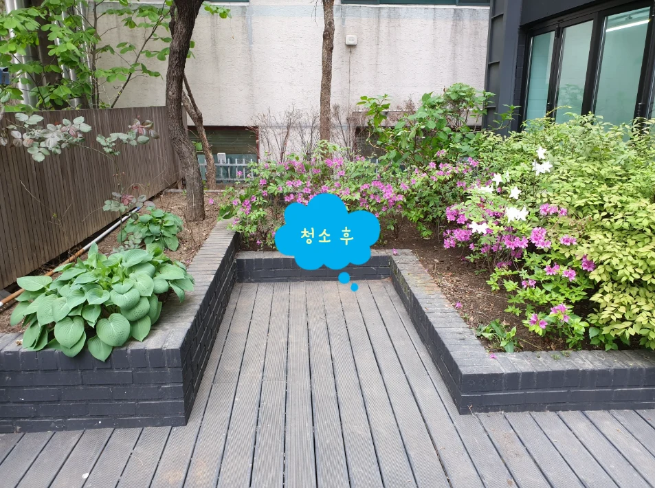 회사 사옥 건물 화단 청소와 폐기물 처리 업체 찾으시나요?